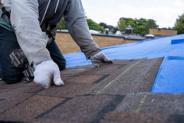 Best Commercial Roofing Services  in Waverly, NE