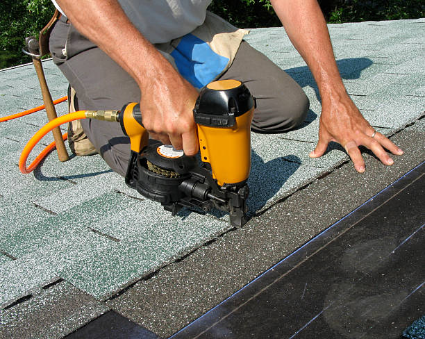 Best Roof Gutter Cleaning  in Waverly, NE