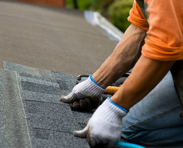 Best Residential Roofing Contractor  in Waverly, NE